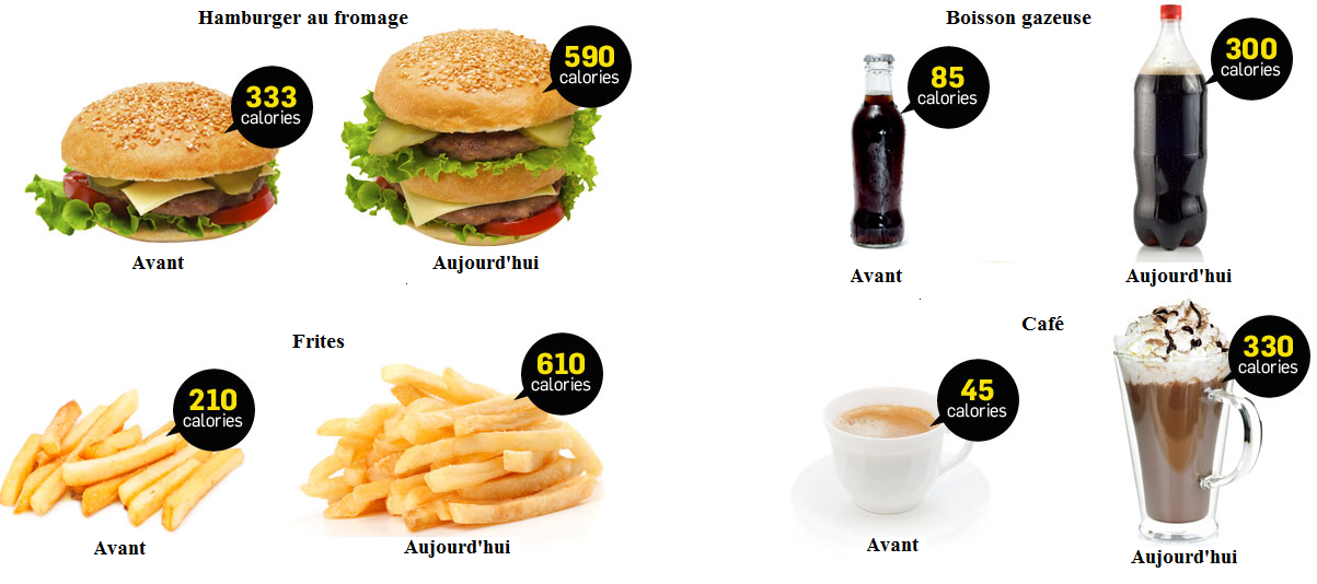 Résultat de recherche d'images pour "photo obesite alimentation riche en calories"